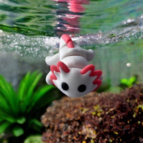 Axolotl - L