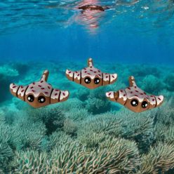 Porcukros rája - Mini