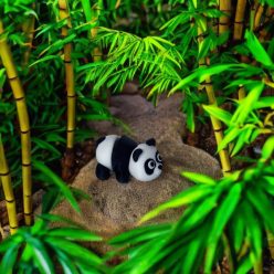 Panda - S