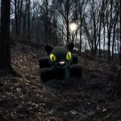 Fekete Macska - Mini