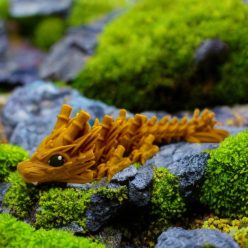 Bambuszsárkány - Kicsi