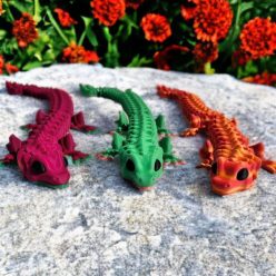 Hosszú Sárkánygyík - Kicsi