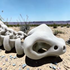 Kígyó Csontváz - Nagy