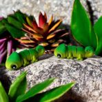 Szavanna, esőerdő, trópusok